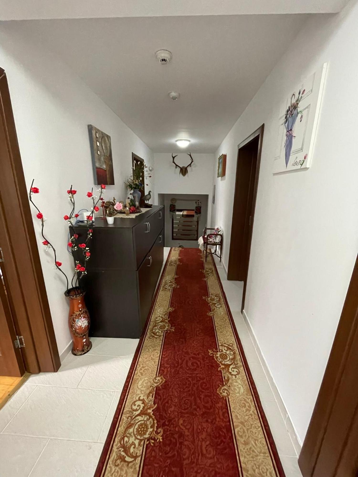 Pensiunea Nituca 모이세이 외부 사진