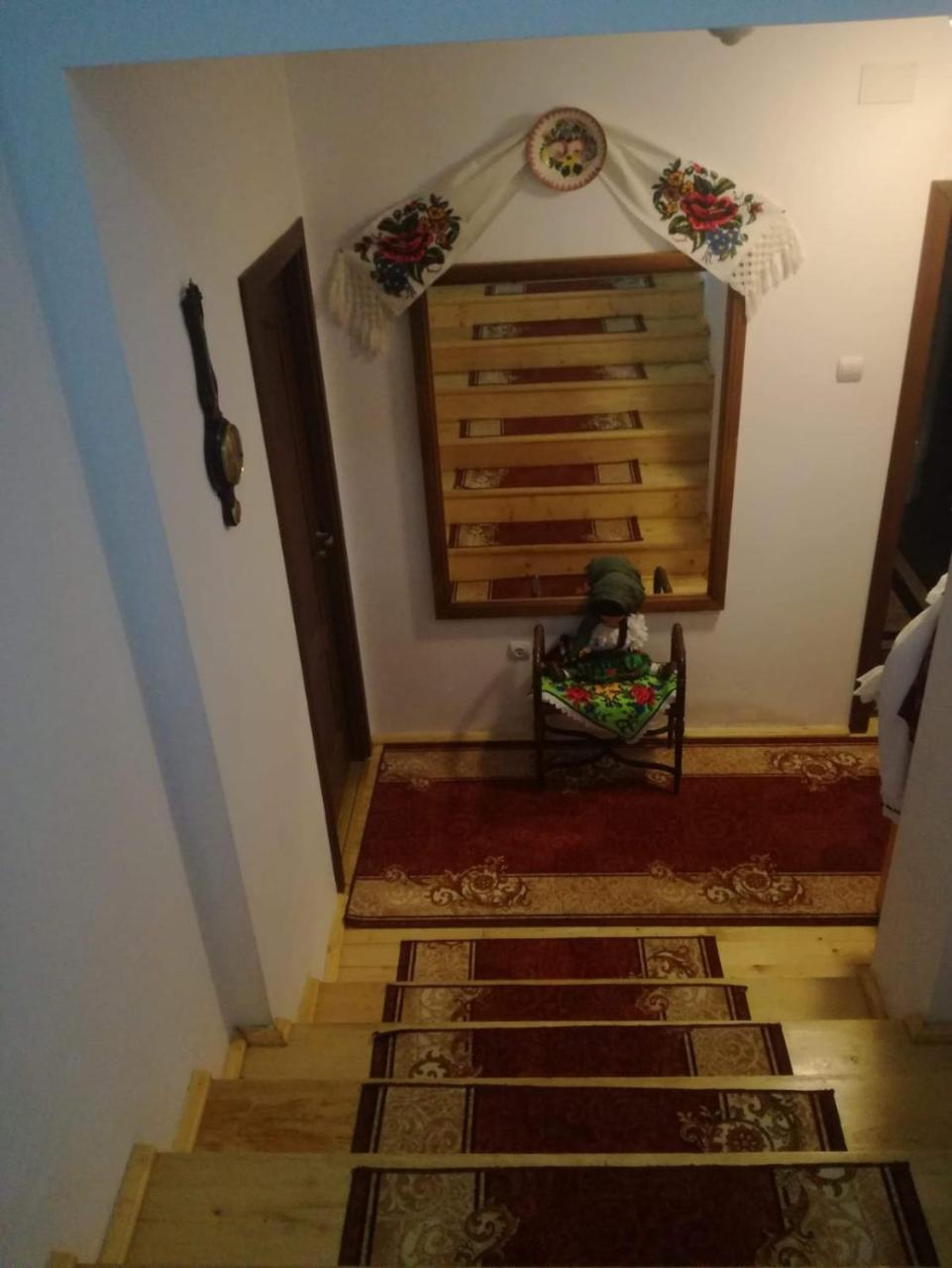 Pensiunea Nituca 모이세이 외부 사진